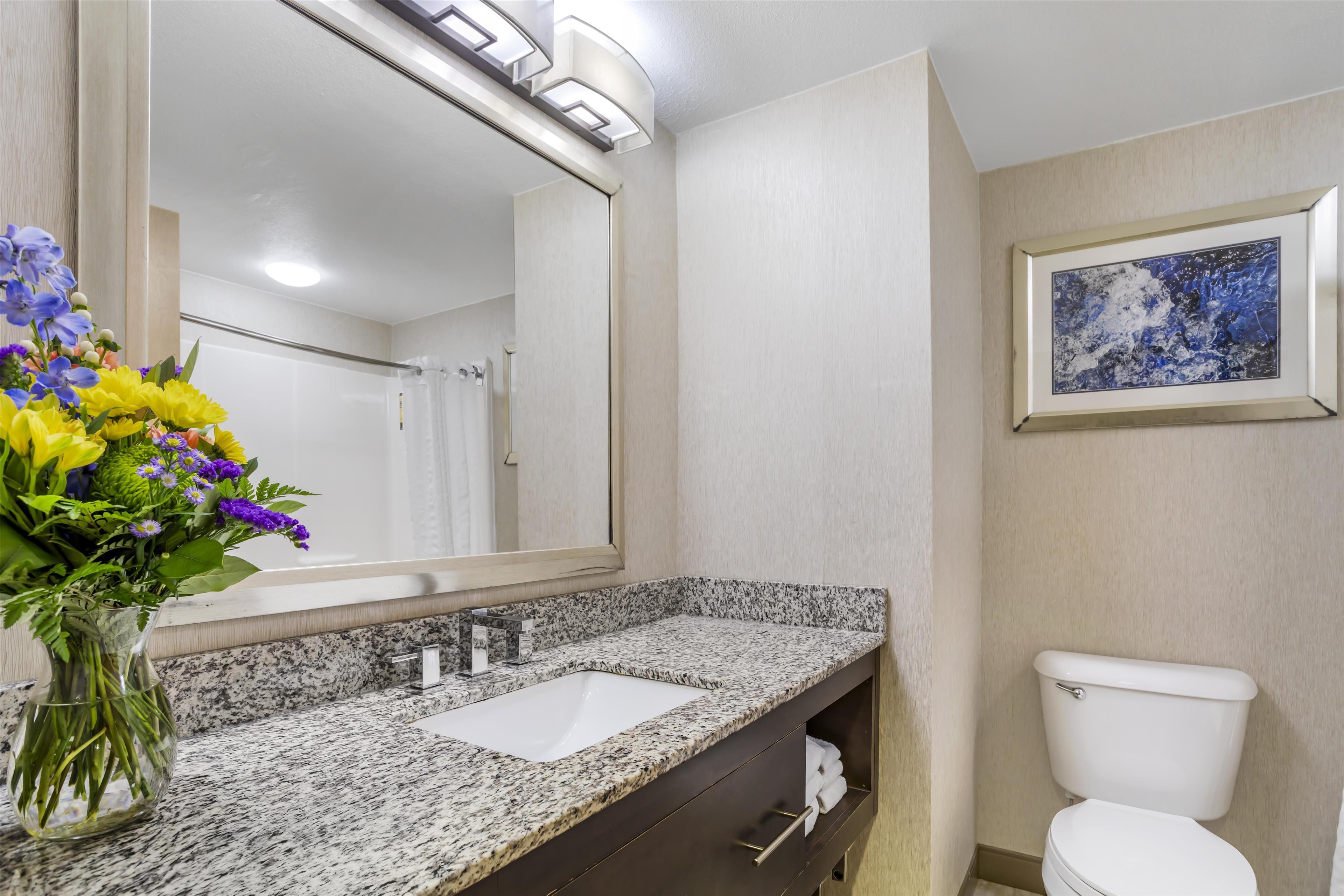 جناح بسرير كينج بإطلالة على النهر بشرفة مع أريكة بحوض جاكوزي، Best Western Plus River Escape Inn & Suites 8/10