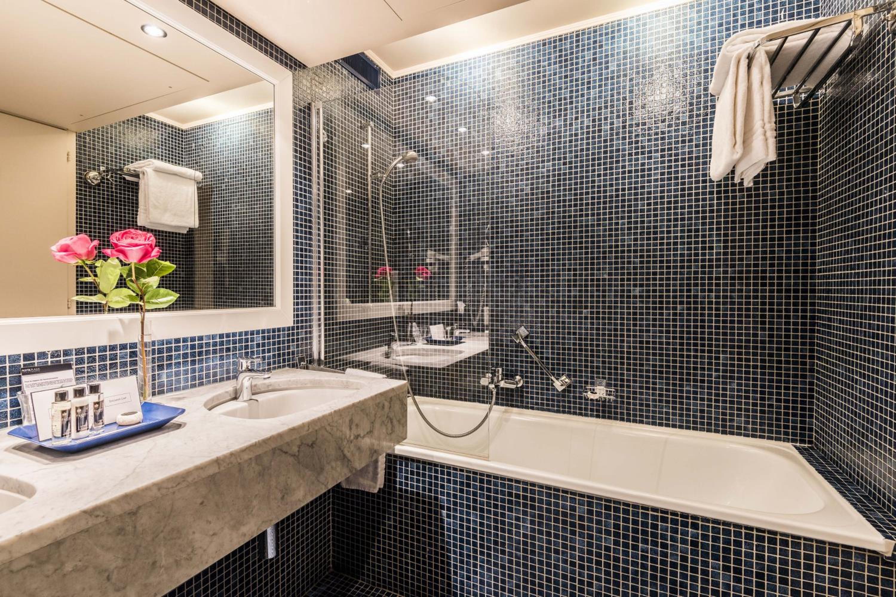 Park, Deluxe, Double Bed, Lake or Park View, Balcony، Royal Plaza Montreux Hotel 5/8