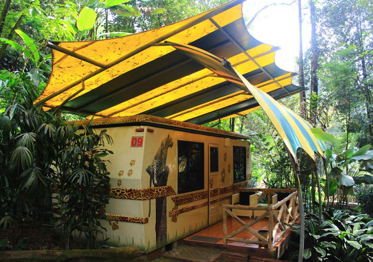 Safari Lodge Hotel 3/51