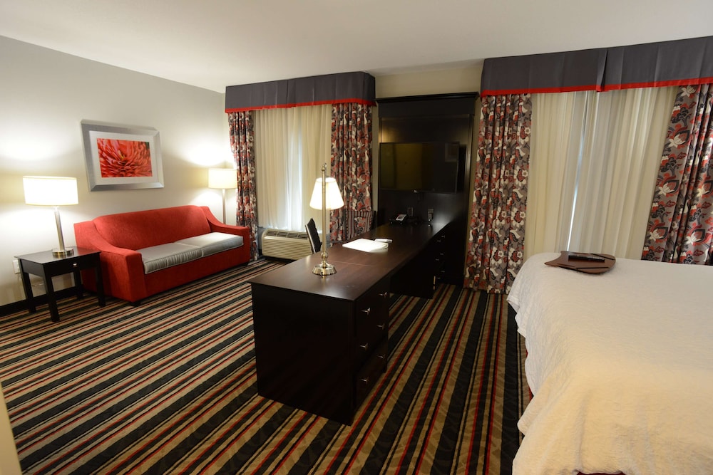 Studio, Suite, King Bed, Sofa