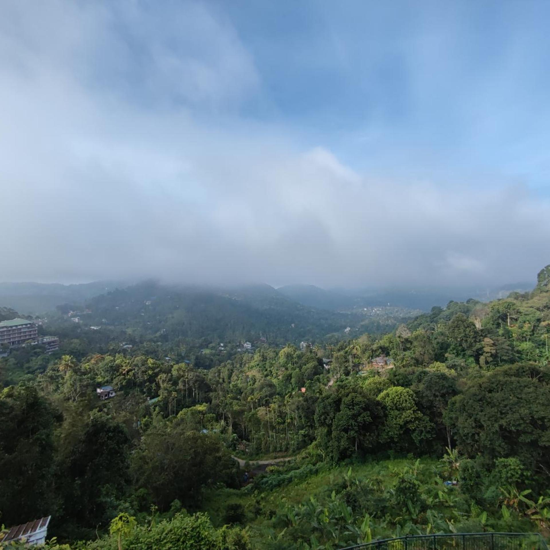 Munnar Tea Country Resort 35/47
