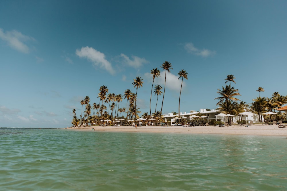 Hyatt Regency Grand Reserve Puerto Rico 73/75