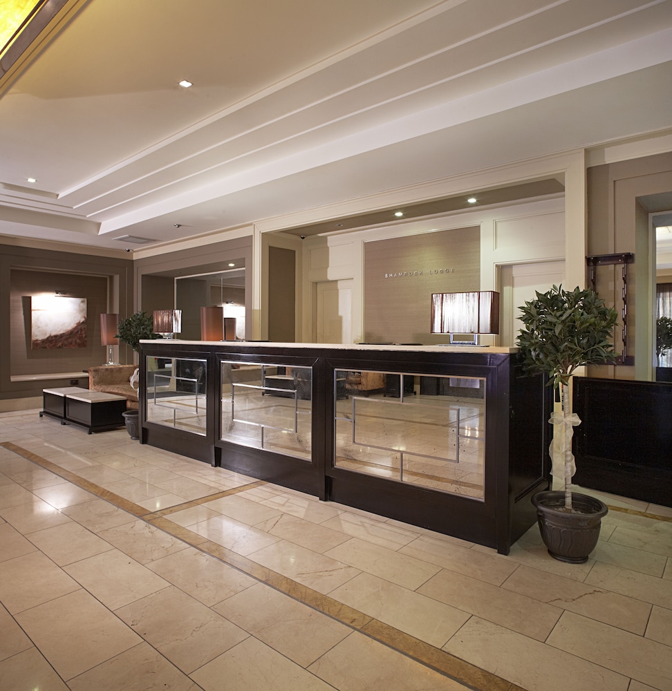 Shamrock Lodge Hotel 11/53