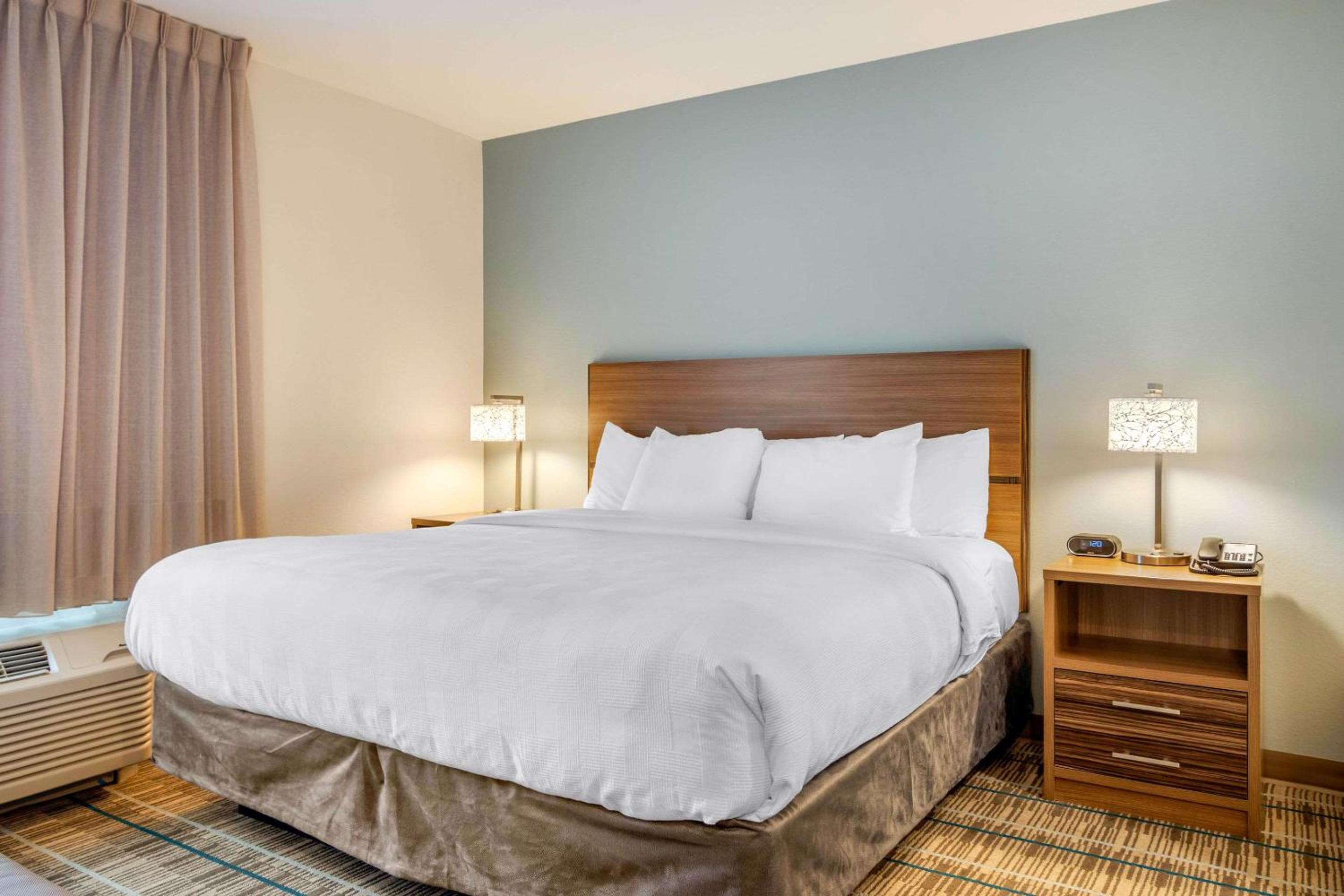 1 Bedroom, Suite, King Bed, Sofa