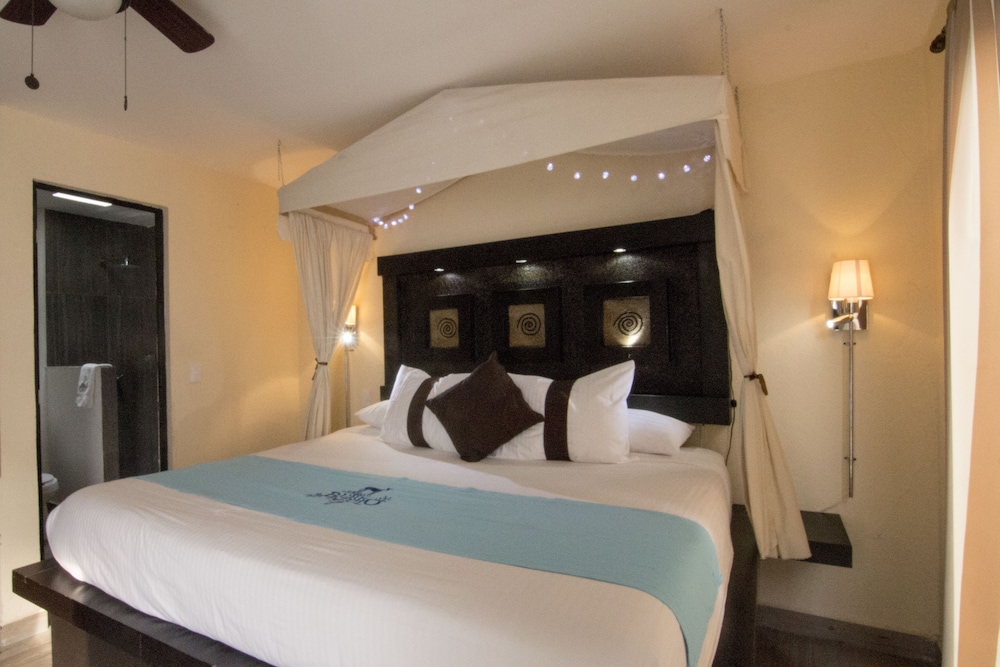 Hotel & Spa Mansion Del Burro Azul 25/50