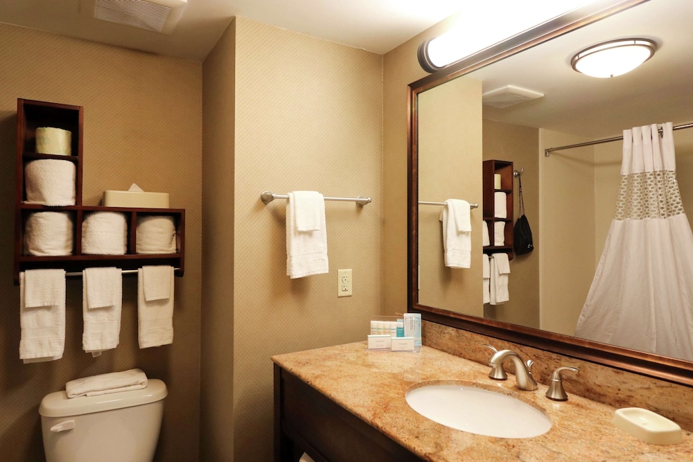 Hampton Inn Columbus South 20/45