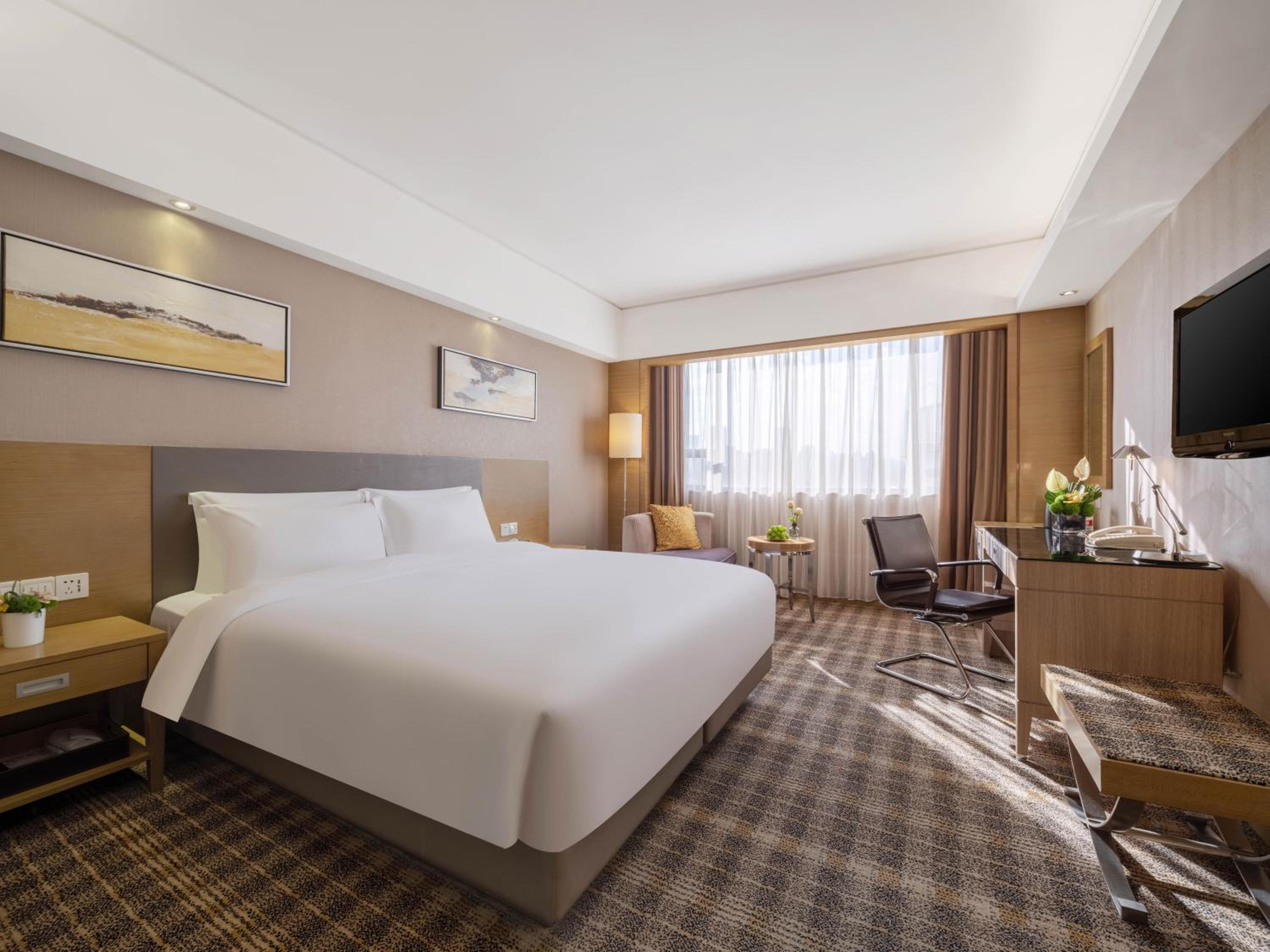 Executive, Queen Bed