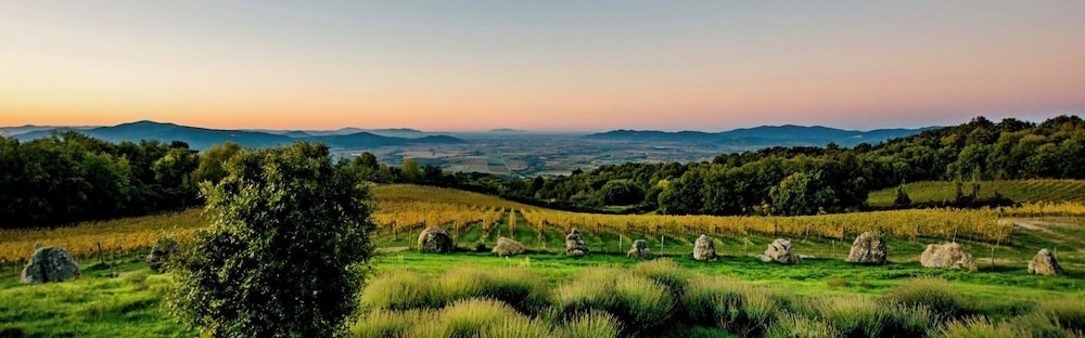 Valdonica Winery & Vineyard Residence 38/50