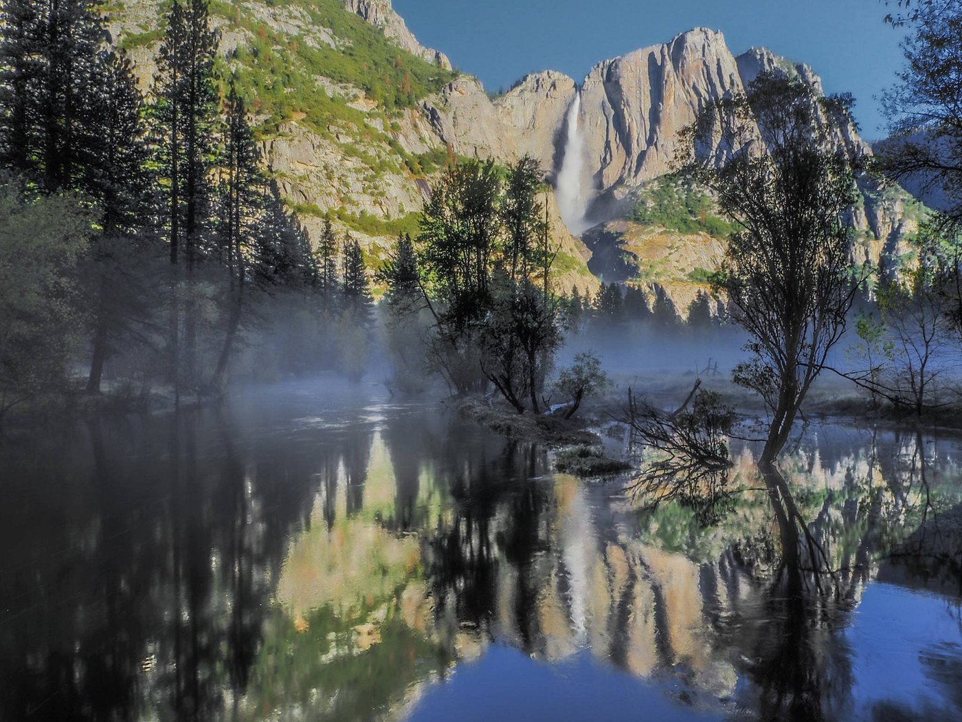 THE REDWOODS IN YOSEMITE 19/21