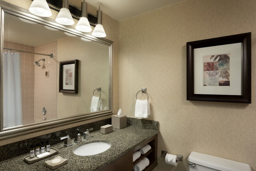 Hyatt Regency Houston West 61/61