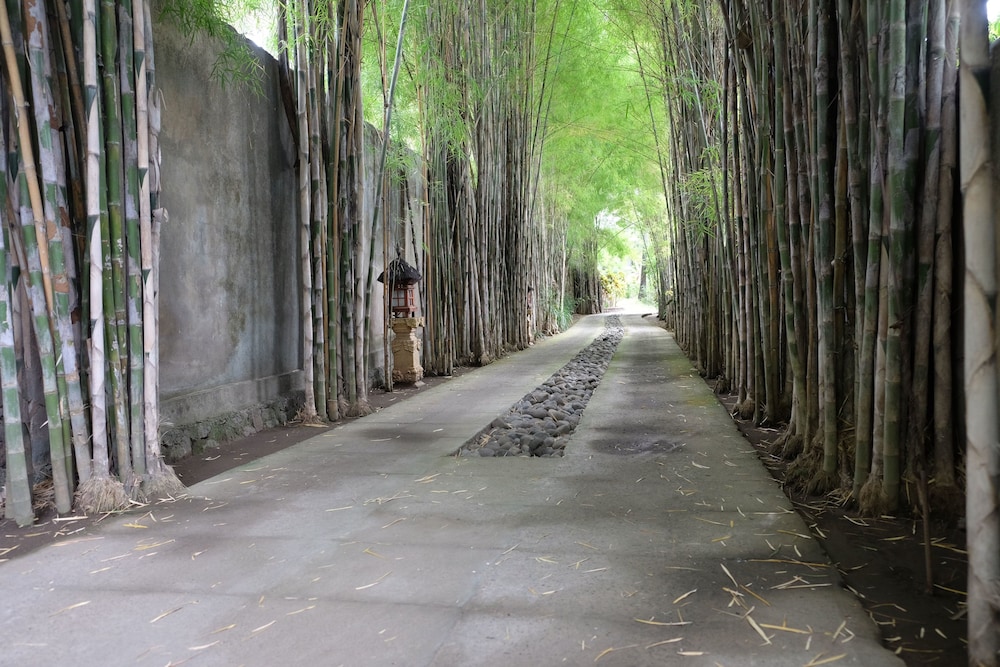 Villa Boreh Beach Resort And Spa 50/64