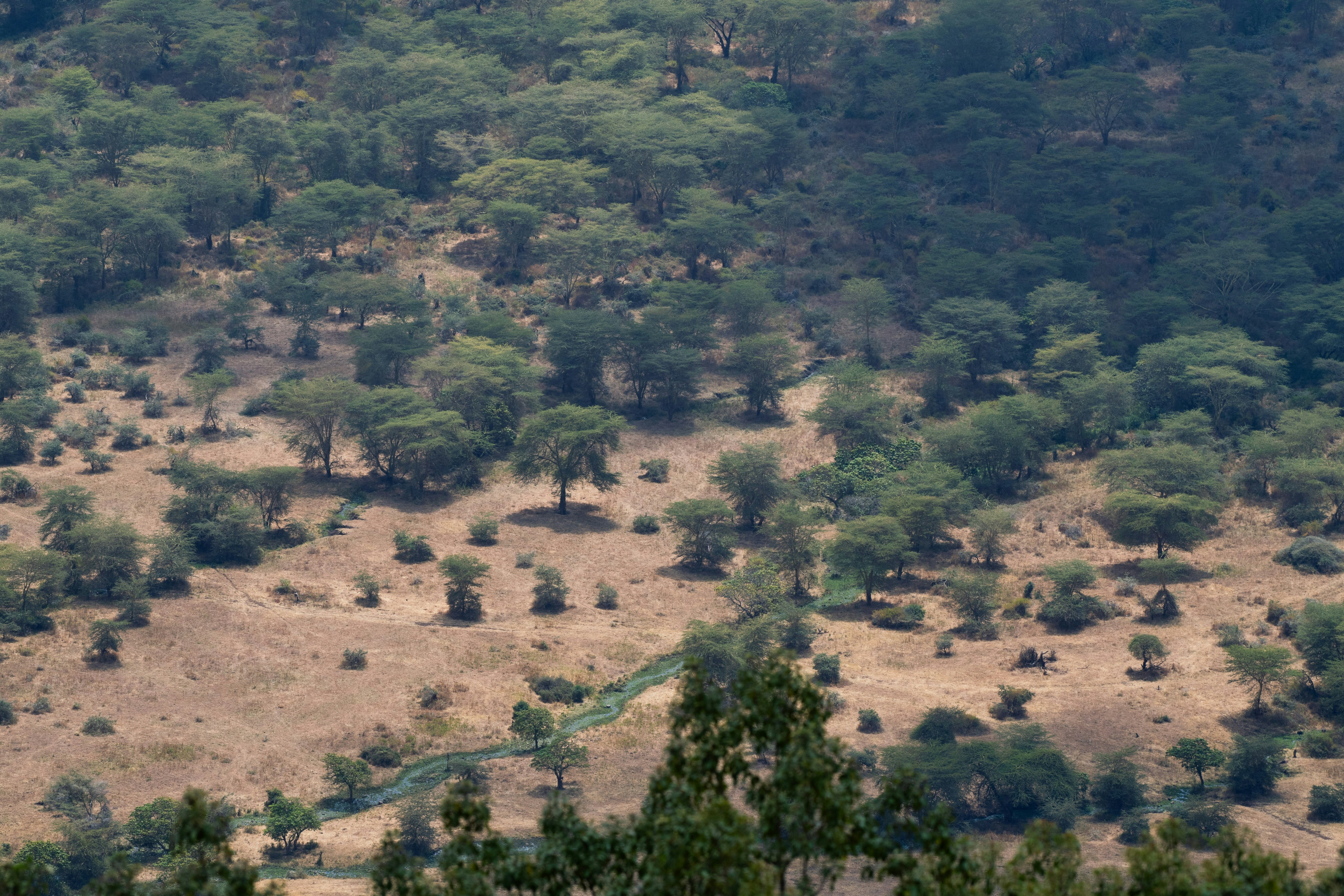 Ngorongoro Lodge member of Melia Collection 39/57