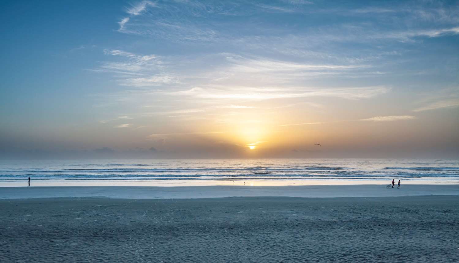 New Smyrna Beach Hotel & Suites 18/24