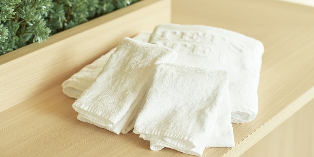 Sotetsu Fresa Inn Kobe-Sannomiya 34/60