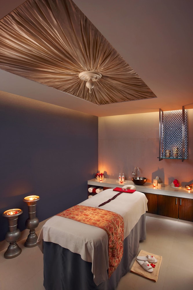 ITC Maurya, a Luxury Collection Hotel 18/37