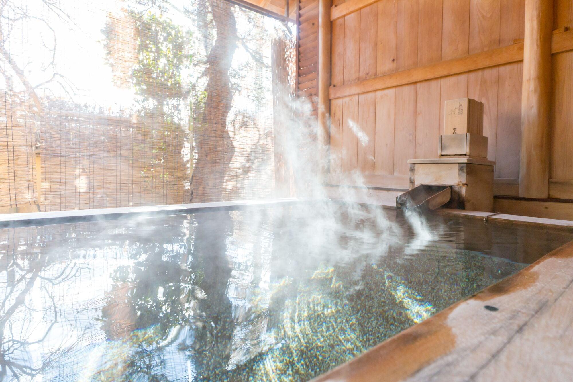 Shinshu Shimosuwa Onsen Gingetsu 11/18