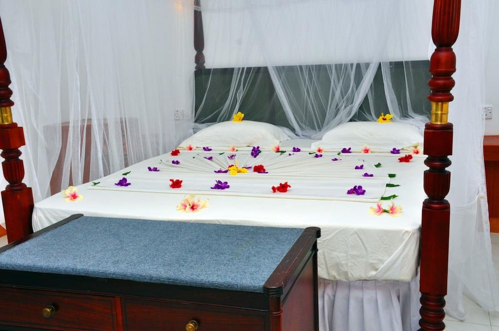 Hotel Bougainvilla 17/50
