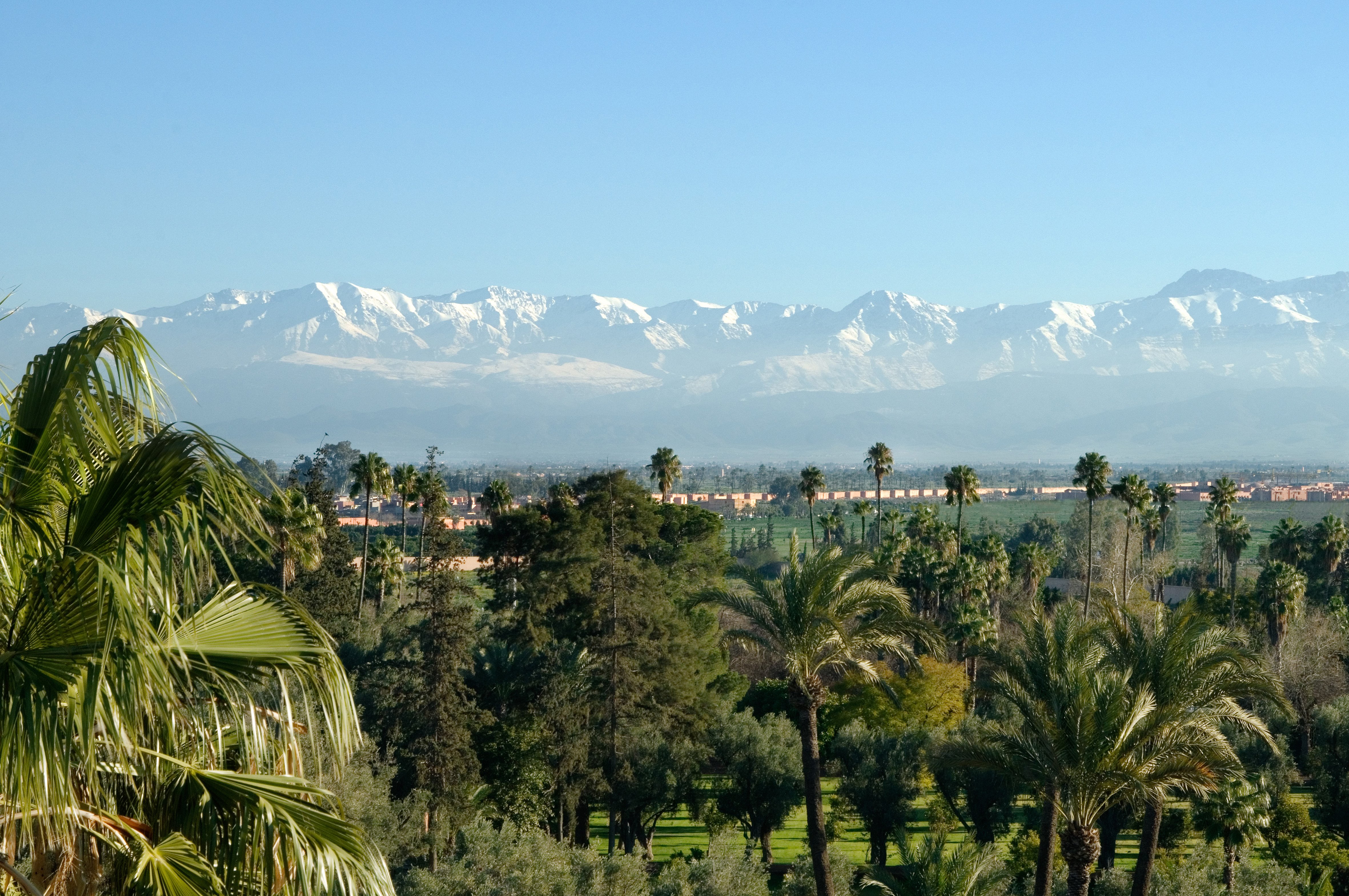 LA MAMOUNIA 73/78