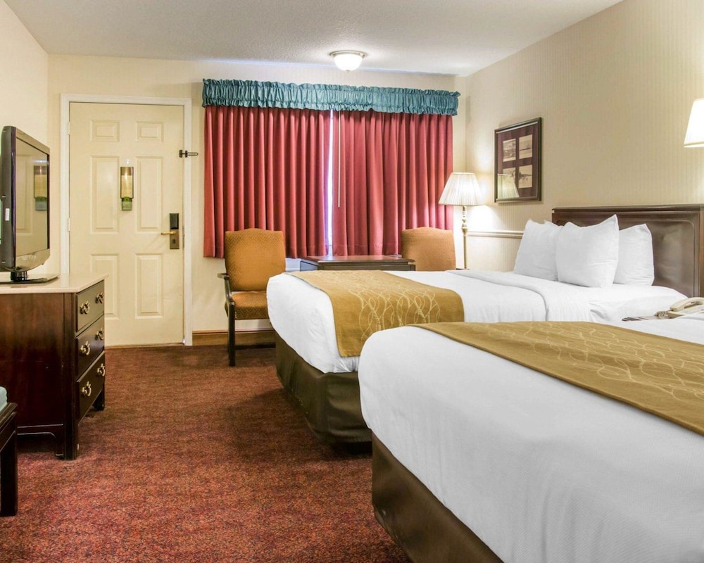 STANDARD, 2 QUEEN BEDS