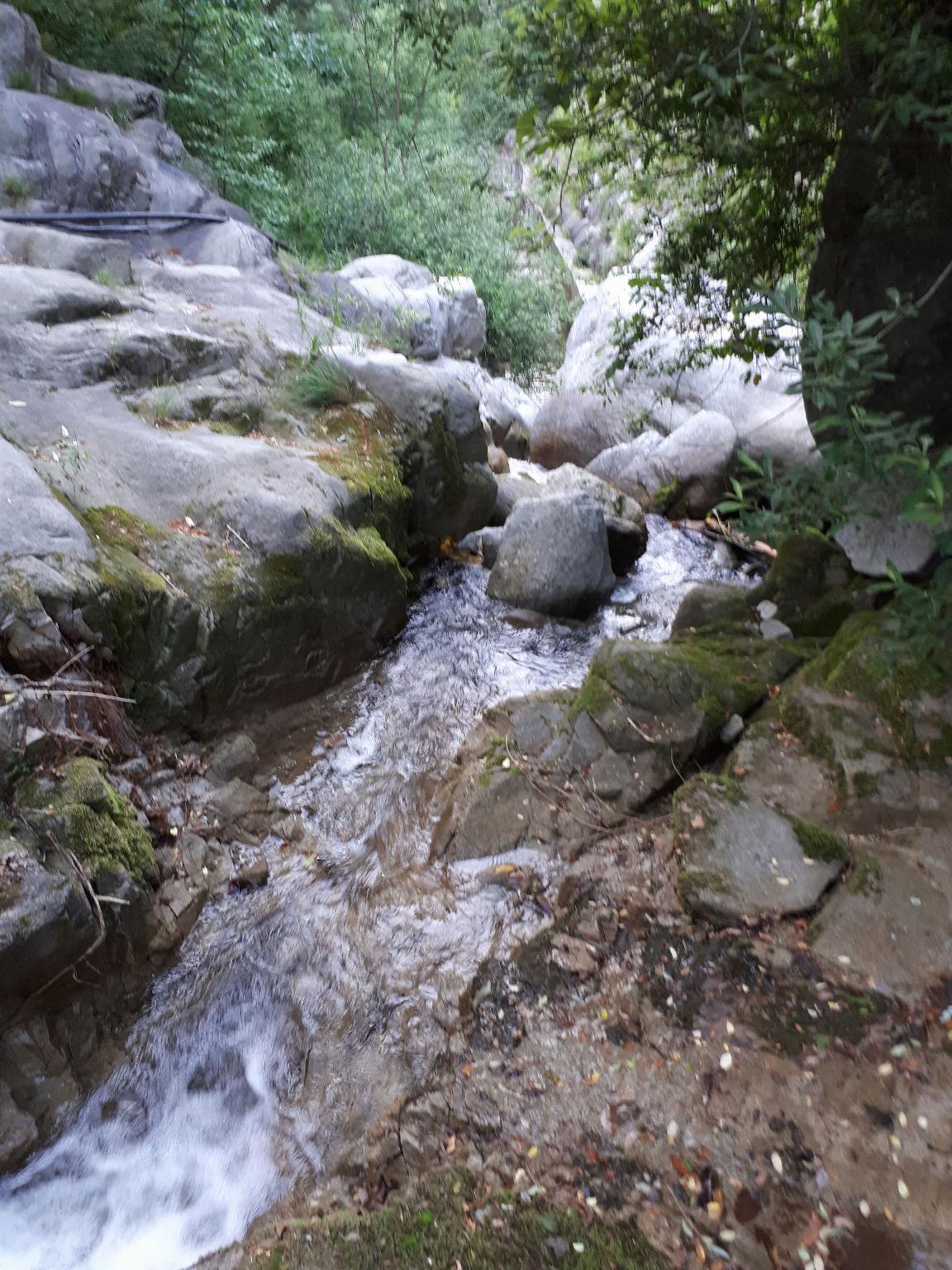 Ravine House 6/15
