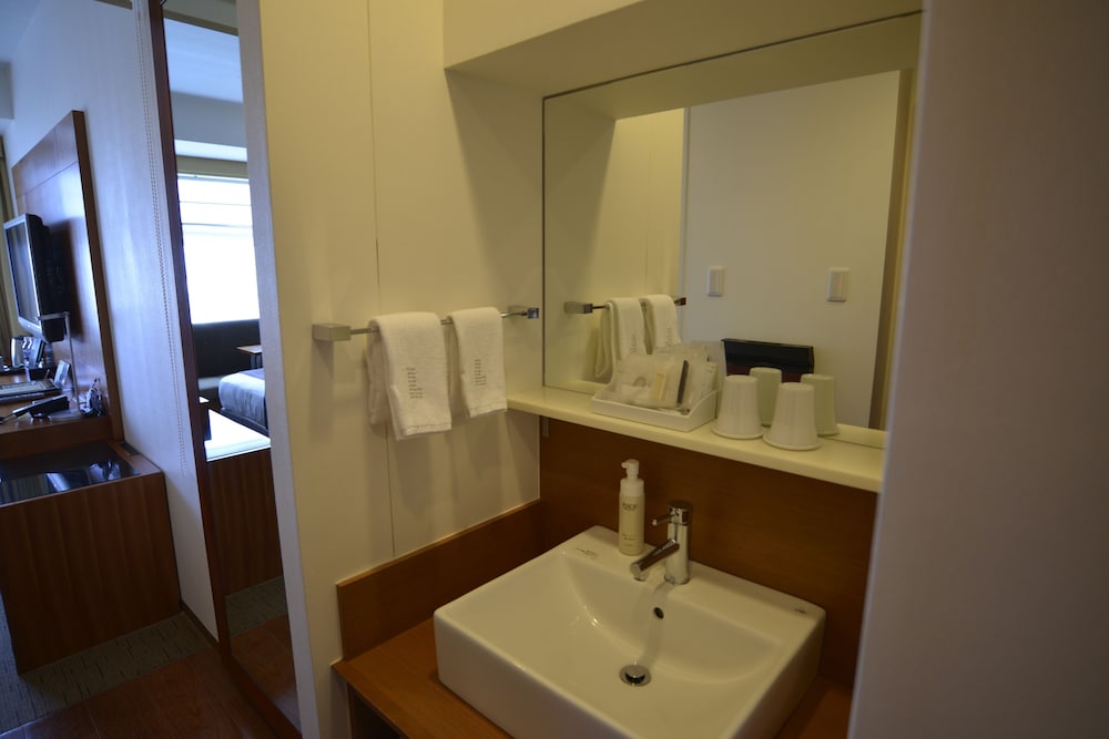 Lotte City Hotel Kinshicho 14/64