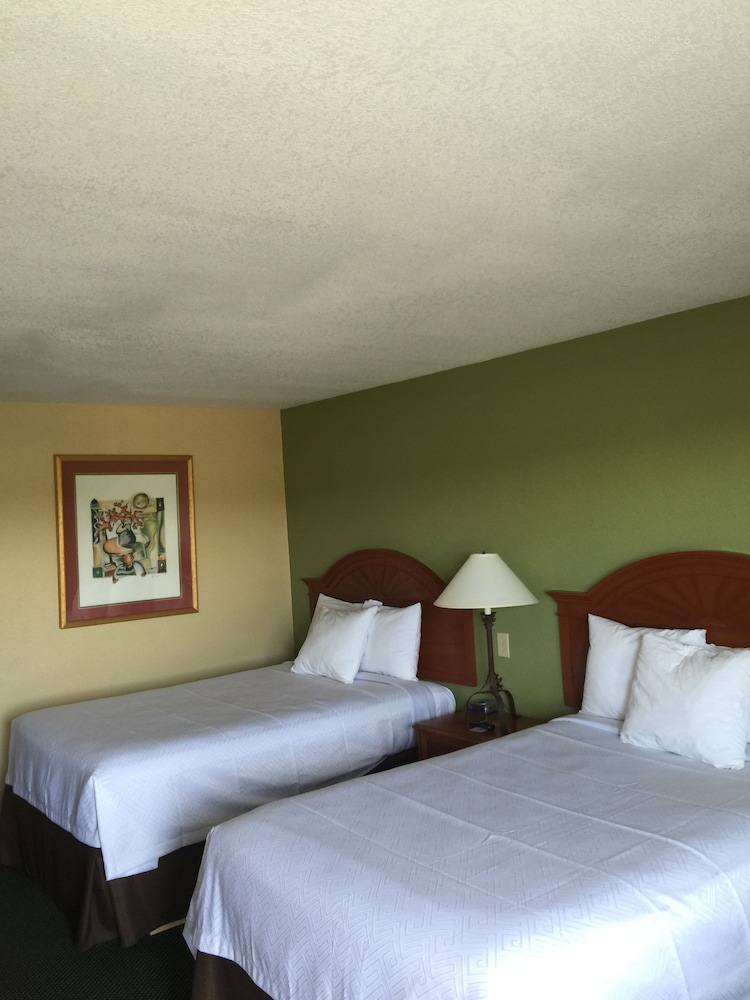 Econo Lodge White Pine Morristown I-81 & I-40 Split 13/37