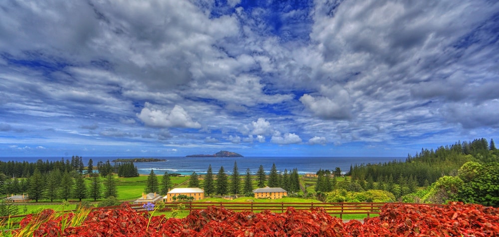 Islander Lodge Apartments 20/24