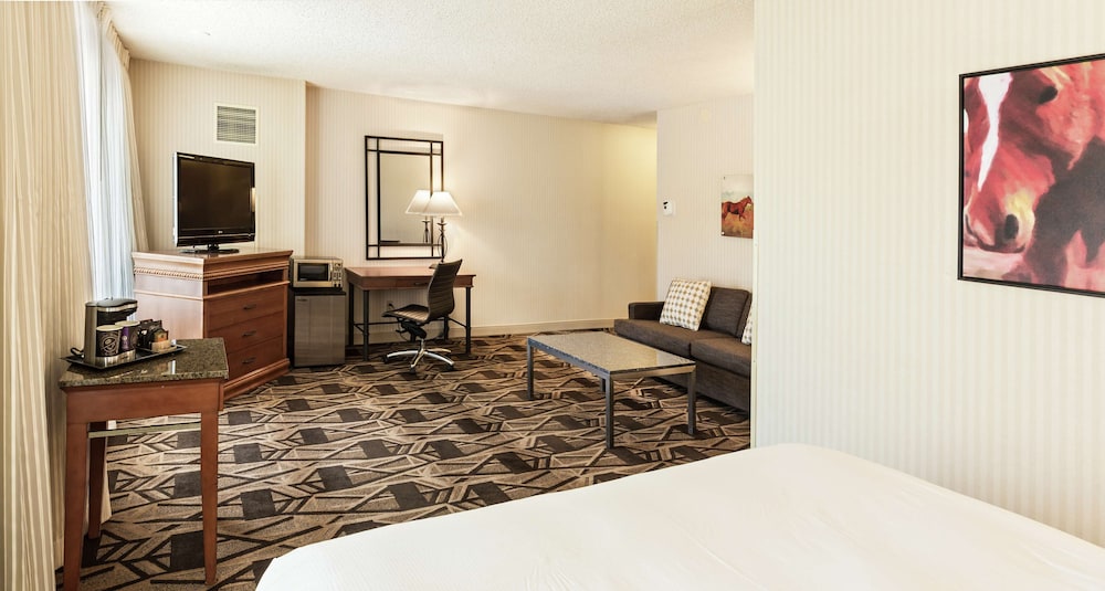 Doubletree By Hilton Durango 19/57