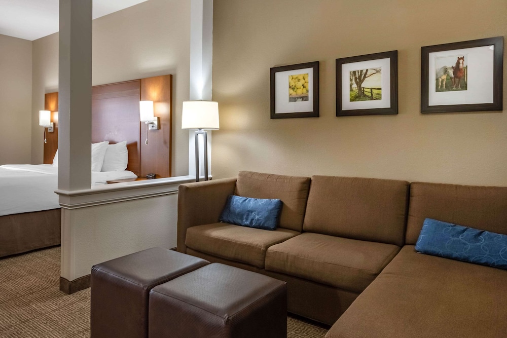 Comfort Suites Hotel and Conference Center, Berlin OH 28/36