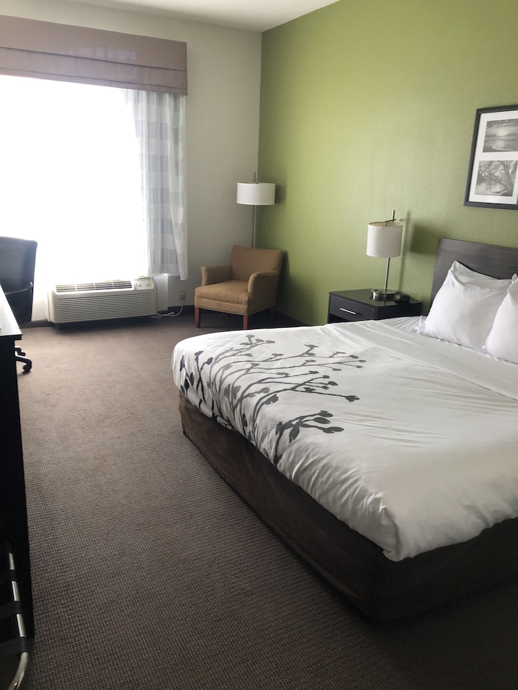 Sleep Inn & Suites Virginia Horse Center 14/53