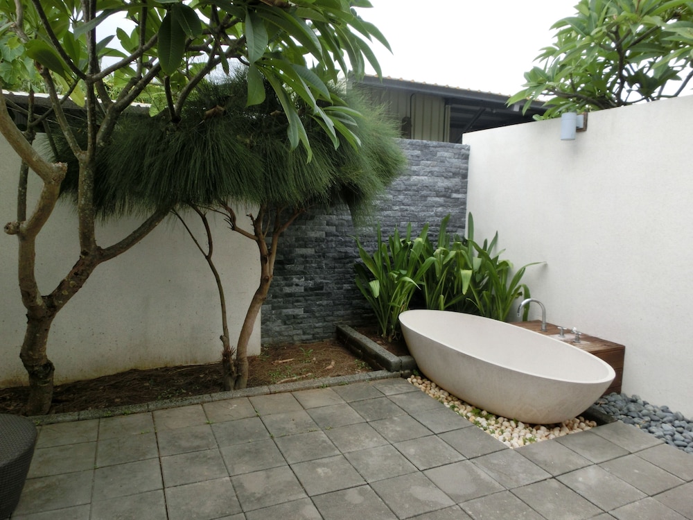 Pangola B&B 6/66