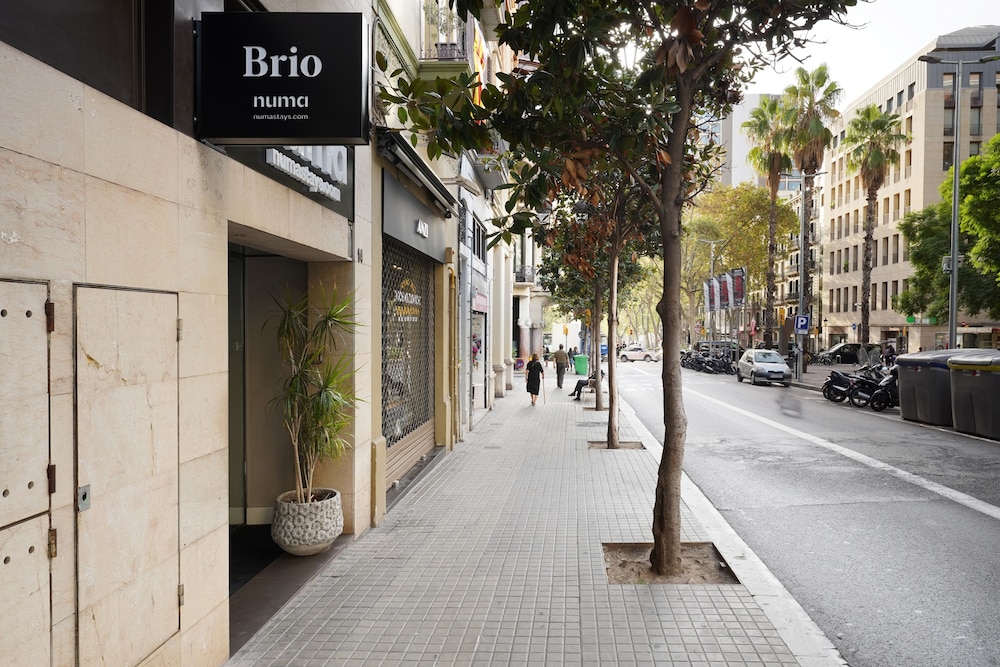 Numa | Brio 46/52