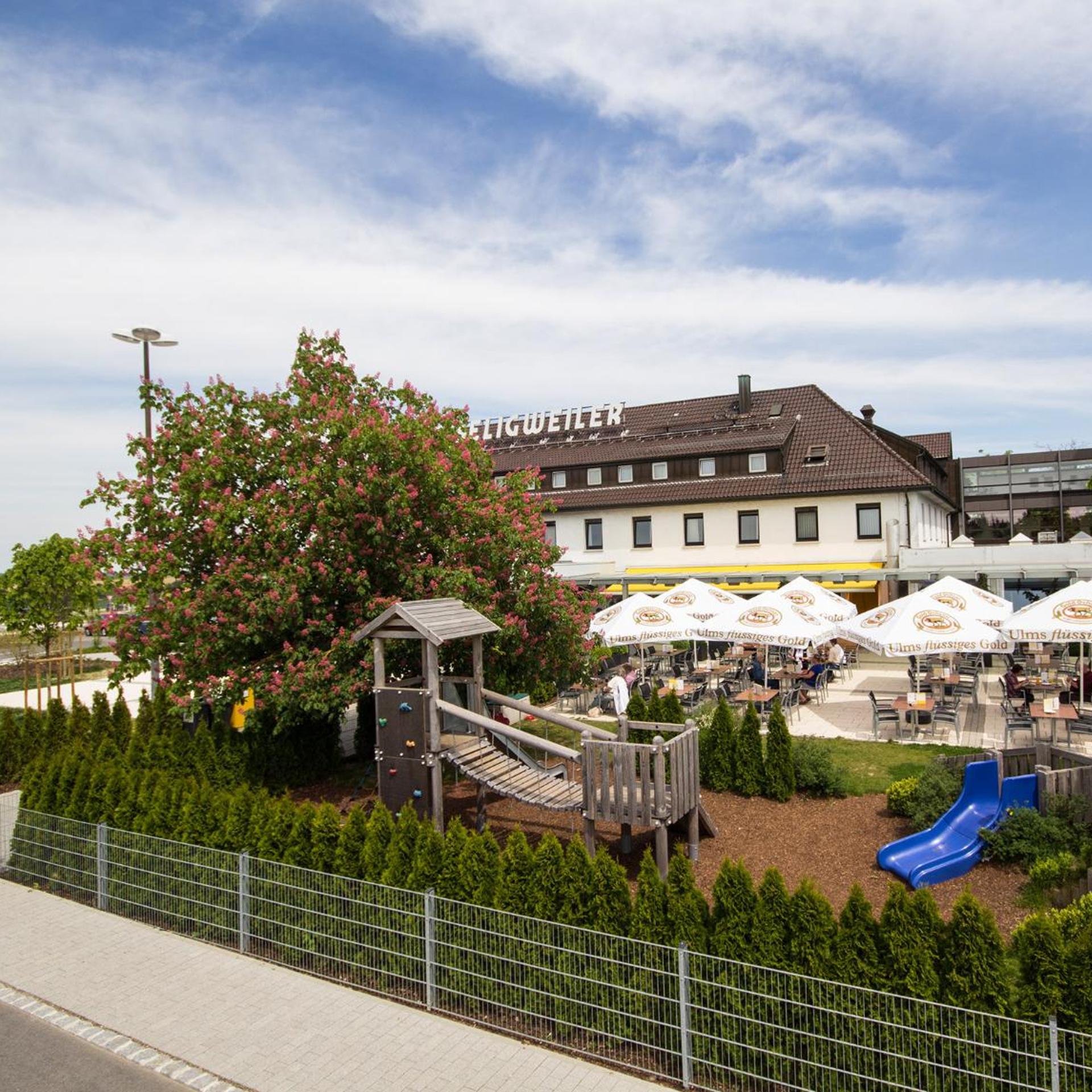 Seligweiler 3/55