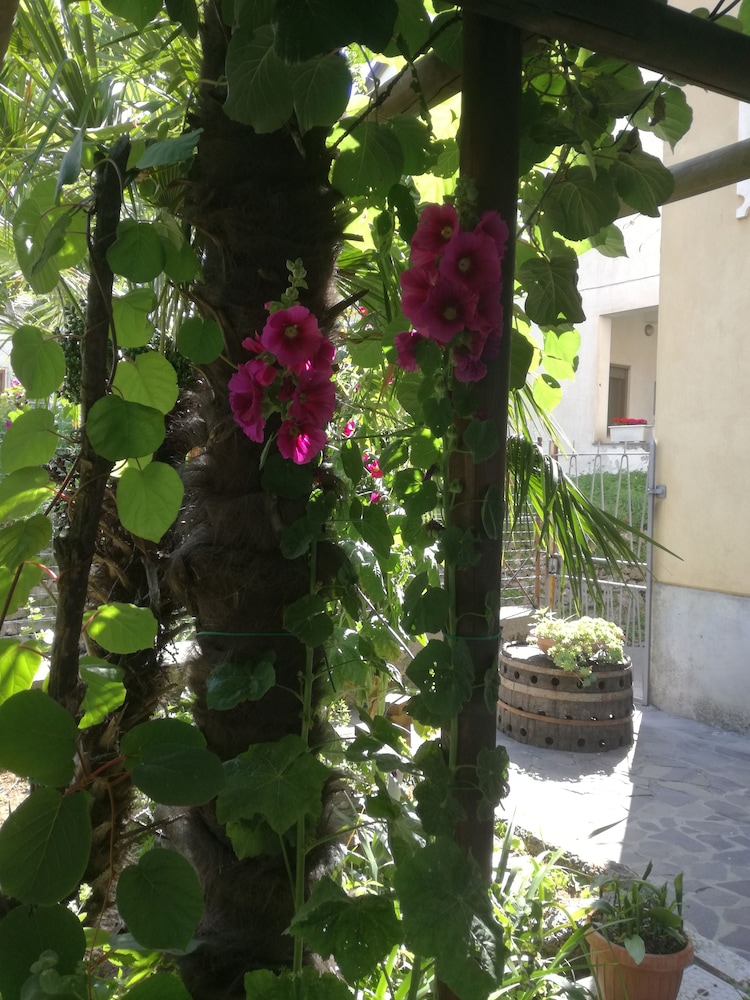 Hotel Gentile 26/30