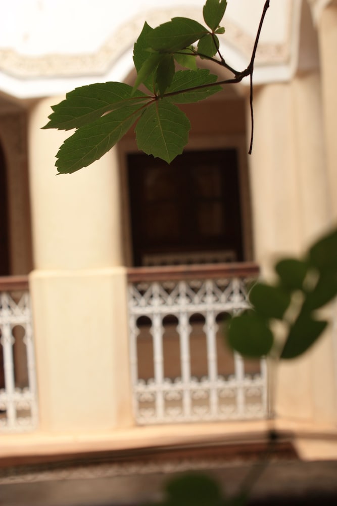 Riad Lorsya 3/46