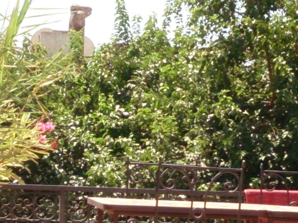 Riad Dar Baya 43/50