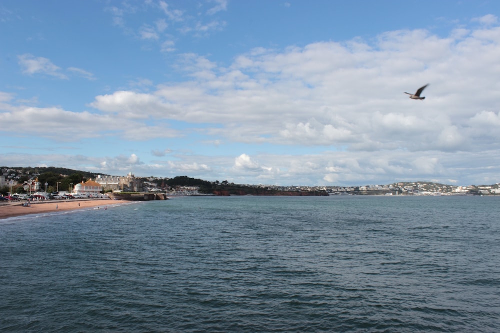 The P&M Paignton Residence 43/50
