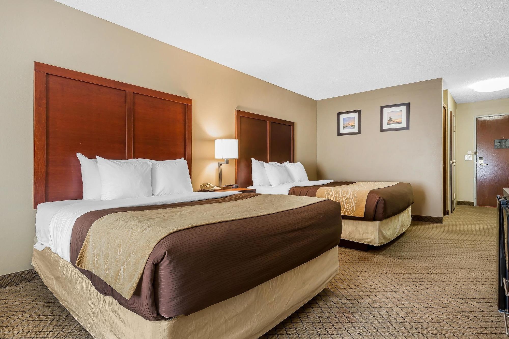 Suite, Multiple Beds