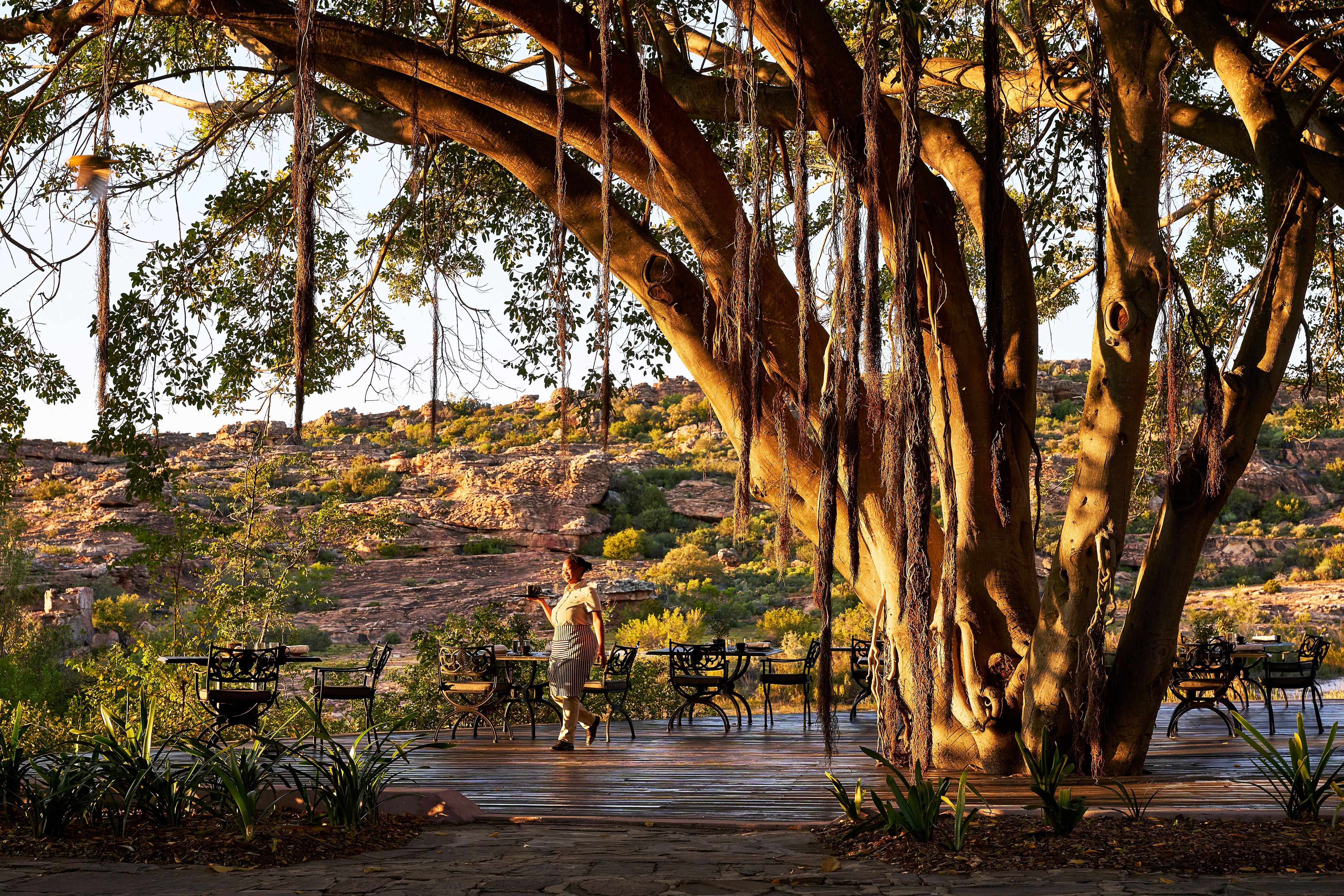Bushmans Kloof Wilderness Reserve and Wellness Retreat 21/50