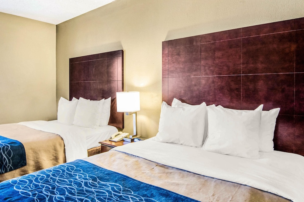 Comfort Inn Atlanta Downtown South 7/34