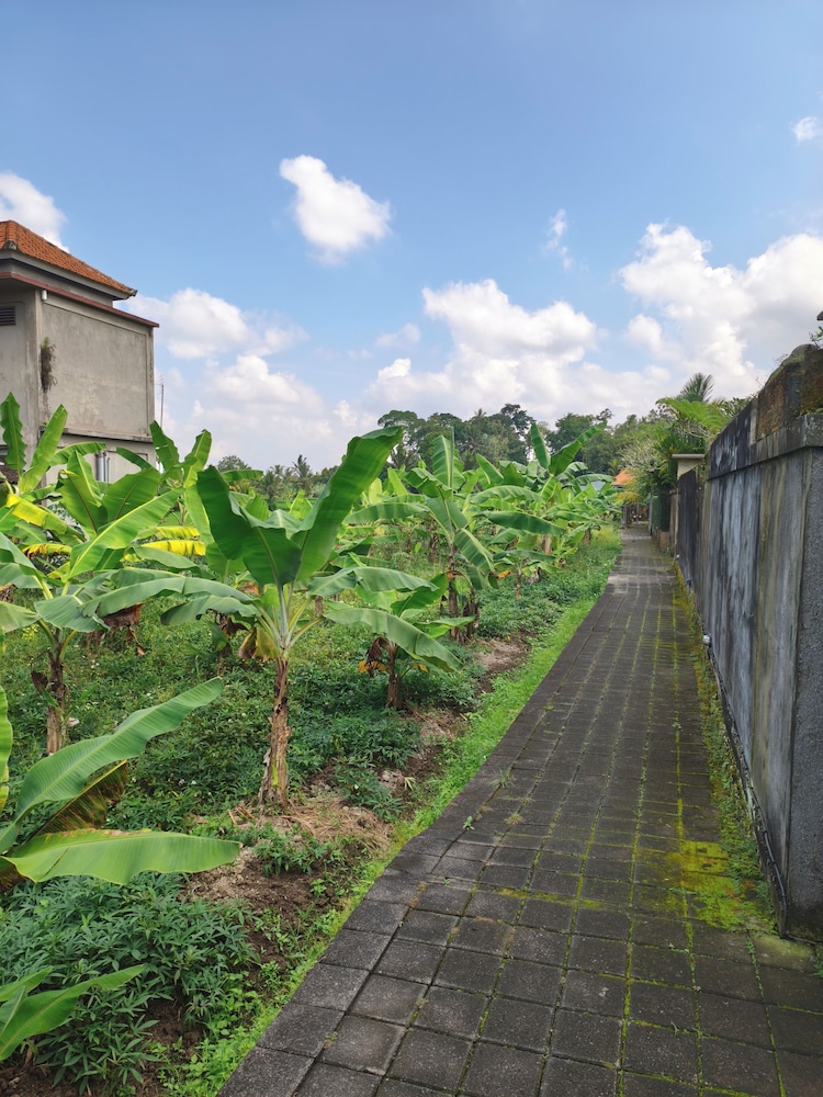 Uma Padi Villa 73/75