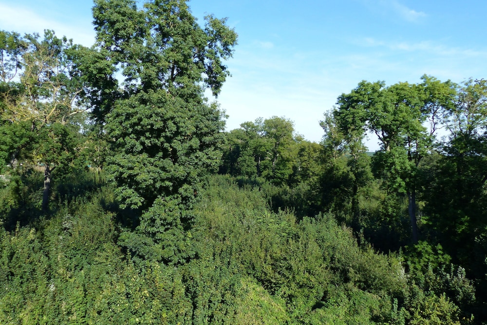 surroundings