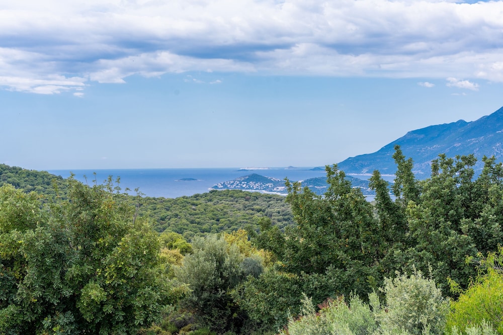 Lacitrus Villa Hotel 33/41