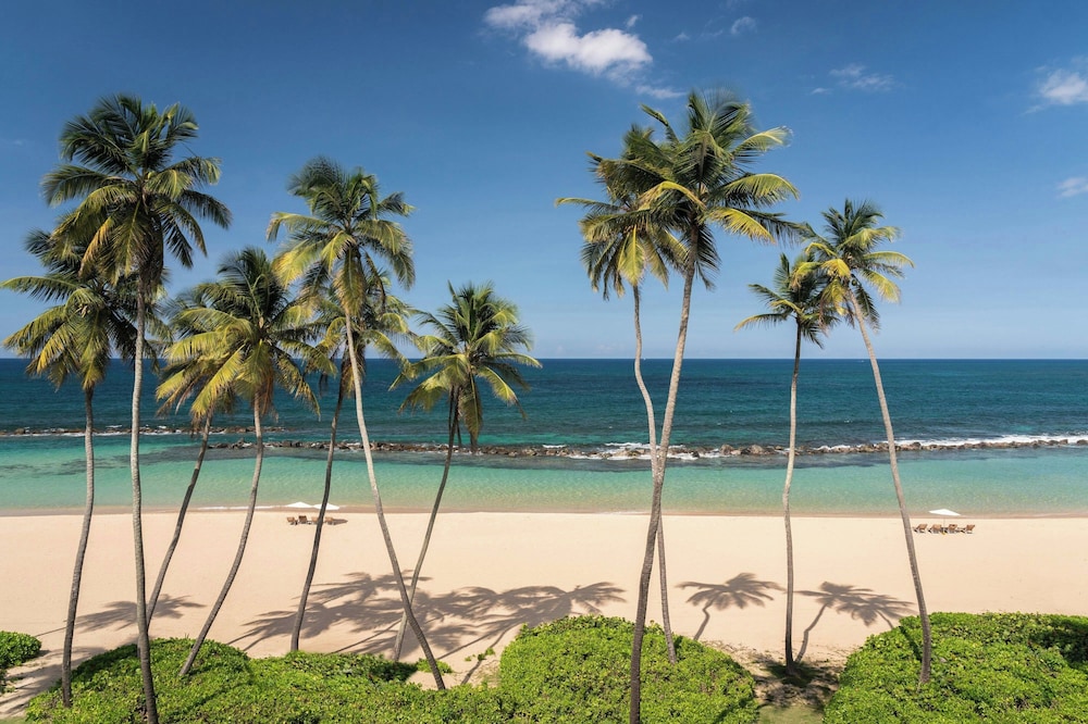 Residences At Dorado Beach, A Ritz-carlton Reserve 43/50