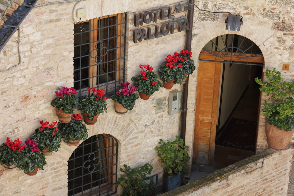 Hotel Pallotta 2/59