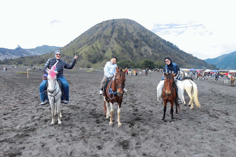 Artotel Cabin Bromo 27/36