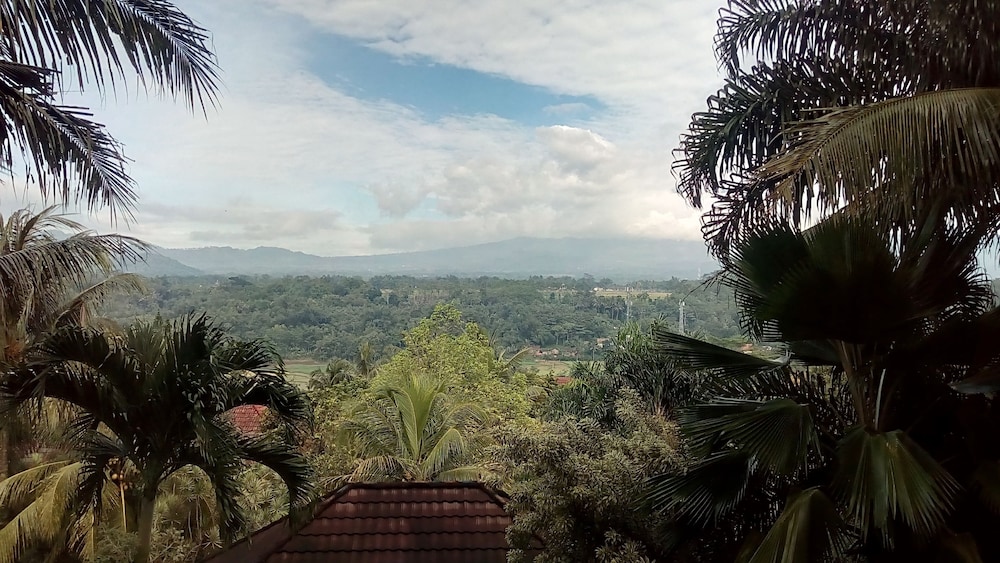The Oxalis Regency Hotel Magelang 40/46