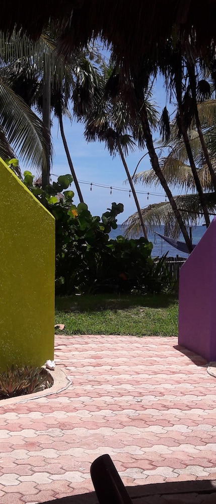 Margarita del Sol Costa Maya 34/43