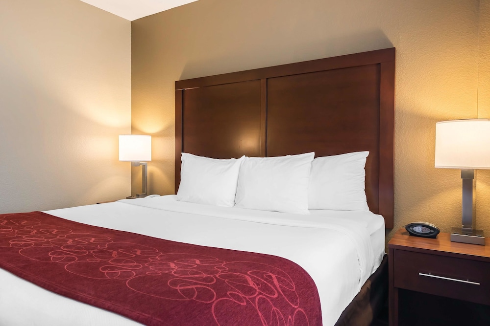 Comfort Suites Tampa Airport North 13/35