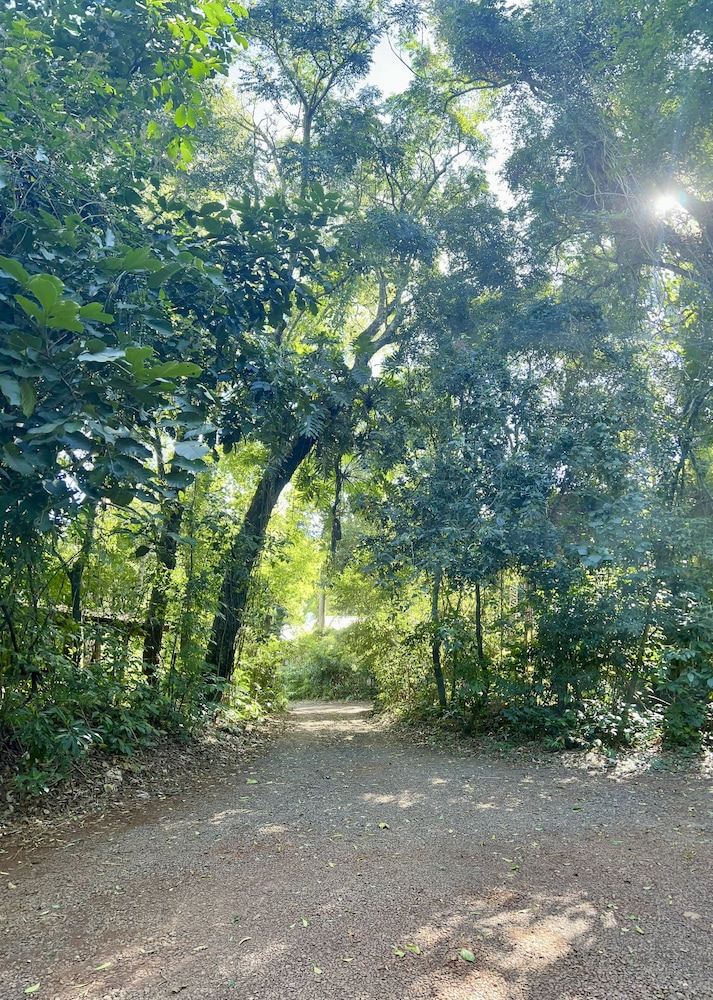 Rainforest de Selva Hotel 55/65